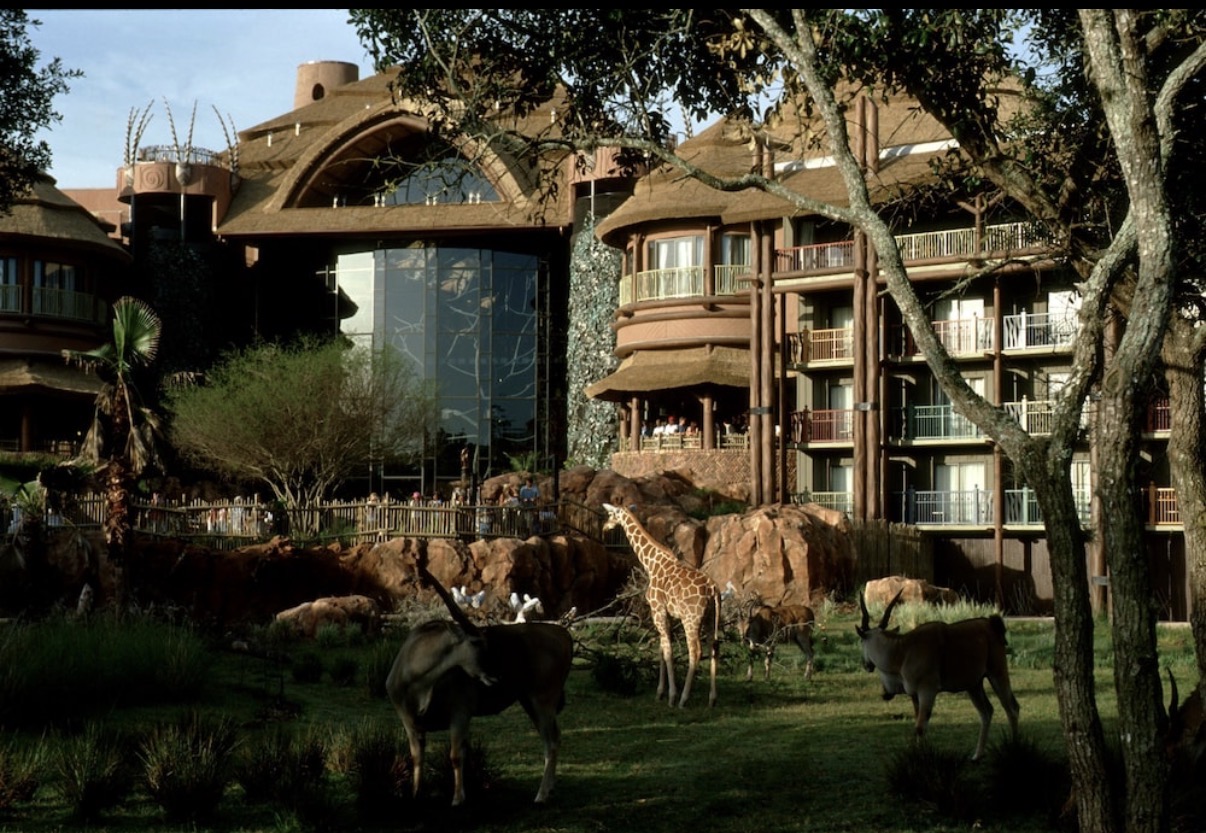 Disney's Animal Kingdom Lodge